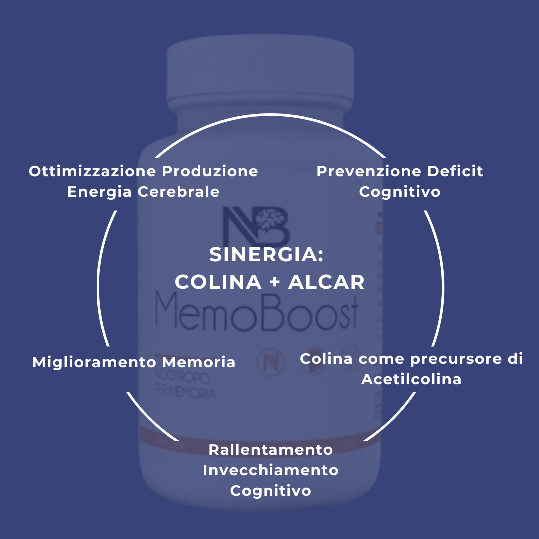 Nootropico per Memoria |MemoBoost|